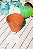 SEED DISC, EVENLY SPACED FOR GROWING IN POT