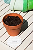 SEED DISC, EVENLY SPACED FOR GROWING IN POT