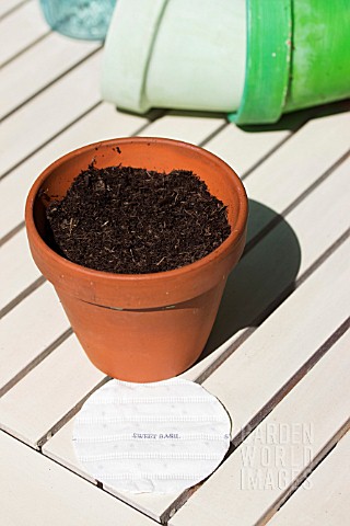 SEED_DISC_EVENLY_SPACED_FOR_GROWING_IN_POT