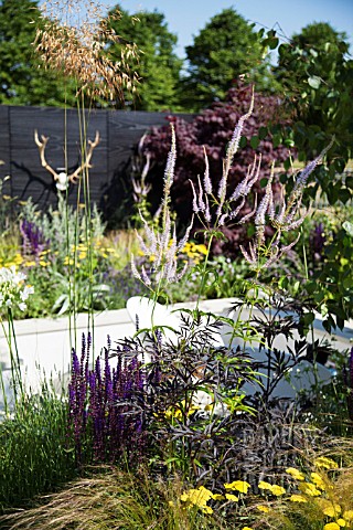 THE_GARDEN_PAD_DESIGNER_DAN_BOWYER_RHS_HAMPTON_COURT_FLOWER_SHOW