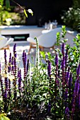 THE GARDEN PAD, DESIGNER DAN BOWYER. RHS HAMPTON COURT FLOWER SHOW.