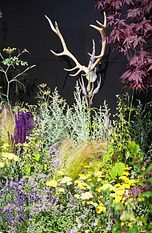 THE_GARDEN_PAD_DESIGNER_DAN_BOWYER_RHS_HAMPTON_COURT_FLOWER_SHOW