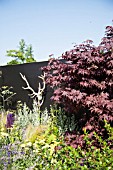 THE GARDEN PAD, DESIGNER DAN BOWYER. RHS HAMPTON COURT FLOWER SHOW