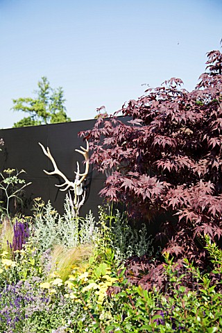 THE_GARDEN_PAD_DESIGNER_DAN_BOWYER_RHS_HAMPTON_COURT_FLOWER_SHOW