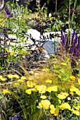 THE GARDEN PAD, DESIGNER DAN BOWYER. RHS HAMPTON COURT FLOWER SHOW