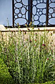 LAYERS AND LINKS, DESIGNER: RAINE CLARKE-WILLS, RAINE GARDEN DESIGN.  RHS HAMPTON COURT FLOWER SHOW