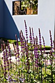 LAYERS AND LINKS, DESIGNER: RAINE CLARKE-WILLS, RAINE GARDEN DESIGN.  RHS HAMPTON COURT FLOWER SHOW