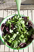 MIXED SALAD BOWL WITH; PEA SHOOTS, ESCAROLE, BABY SPINACH, BABY CHARD, FRISEE LETTUCE AND RADDICHIO