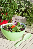 MIXED SALAD BOWL WITH; PEA SHOOTS, ESCAROLE, BABY SPINACH, BABY CHARD, FRISEE LETTUCE AND RADDICHIO WITH EDIBLE NASTURTIUM FLOWER (TROPAEOLUM)