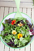 MIXED SALAD BOWL WITH; PEA SHOOTS, ESCAROLE, BABY SPINACH, BABY CHARD, FRISEE LETTUCE AND RADDICHIO WITH EDIBLE NASTURTIUM FLOWER (TROPAEOLUM)