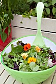 MIXED SALAD BOWL WITH; PEA SHOOTS, ESCAROLE, BABY SPINACH, BABY CHARD, FRISEE LETTUCE AND RADDICHIO WITH EDIBLE NASTURTIUM FLOWER (TROPAEOLUM)