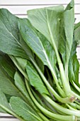 BRASSICA CAMPESTRIS VAR. PARACHINENSIS, (CHOI SUM)