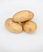 SOLANUM TUBEROSUM, (POTATO TUBERS)