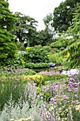 POND AREA AT BETH CHATTOS GARDEN