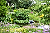 POND AREA AT BETH CHATTOS GARDEN