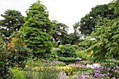 POND AREA AT BETH CHATTOS GARDEN