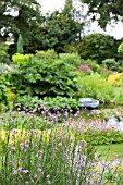 POND AREA AT BETH CHATTOS GARDEN