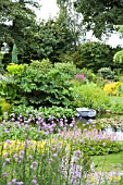 POND AREA AT BETH CHATTOS GARDEN