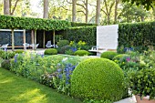 THE TELEGRAPH GARDEN RHS CHELSEA 2014, DESIGNERS DEL BUONO GAZERWITZ. SHOWING PHILLYREA ANGUSTIFOLIA