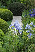 THE TELEGRAPH GARDEN - DESIGNED BY TOMMASO DEL BUONO AND PAUL GAZERWITZ