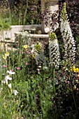 M & G INVESTMENTS GARDEN - DESIGNER CLEVE WEST - RHS CHELSEA