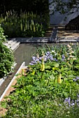 LAURENT-PERRIER GARDEN - RHS CHELSEA  DESIGNED BY LUCIANO GIUBBILEI