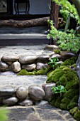 TOGENKYO A PARADISE ON EARTH - DESIGNED BY KAZUYUKI ISHIHARA  BEST ARTISAN GARDEN - RHS CHELSEA