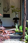 TOGENKYO - A PARADISE ON EARTH, RHS CHELSEA FLOWER SHOW 2014  ISHIARA KAZUYUKI - ISHIARA KAZUYUKI DESIGN LABORATORY