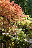 TOGENKYO - A PARADISE ON EARTH, RHS CHELSEA FLOWER SHOW 2014  ISHIARA KAZUYUKI - ISHIARA KAZUYUKI DESIGN LABORATORY