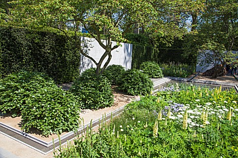 THE_LAURENT_PERRIER_GARDEN_RHS_CHELSEA_FLOWER_SHOW__DESIGNER_LUCIANO_GIUBBILEI