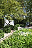 THE LAURENT PERRIER GARDEN, RHS CHELSEA FLOWER SHOW.  DESIGNER: LUCIANO GIUBBILEI