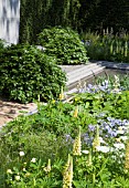 THE LAURENT PERRIER GARDEN, RHS CHELSEA FLOWER SHOW.  DESIGNER: LUCIANO GIUBBILEI