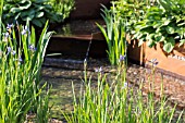 A GARDEN FOR FIRST TOUCH AT ST. GEORGES HOSPITAL - RHS CHELSEA