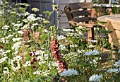 VERBASCUM ASSOCIATION