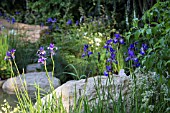 HOPE ON THE HORIZON - DESIGNER MATT KEIGHTLEY - RHS CHELSEA