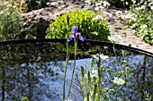 VITAL EARTH THE NIGHT SKY GARDEN - DESIGNERS HARRY & DAVID RICH - RHS CHELSEA