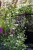 VITAL EARTH THE NIGHT SKY GARDEN - DESIGNERS HARRY & DAVID RICH - RHS CHELSEA