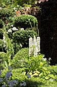 THE TOPIARIST GARDEN AT WEST GREEN HOUSE - DESIGNER MARYLYN ABBOTT - RHS CHELSEA