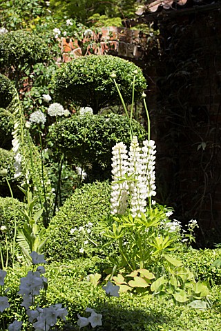 THE_TOPIARIST_GARDEN_AT_WEST_GREEN_HOUSE__DESIGNER_MARYLYN_ABBOTT__RHS_CHELSEA