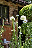 THE TOPIARIST GARDEN AT WEST GREEN HOUSE - DESIGNER MARYLYN ABBOTT - RHS CHELSEA