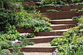 A GARDEN FOR FIRST TOUCH AT ST. GEORGES HOSPITAL - RHS CHELSEA