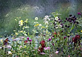 MIXED SUMMER PLANTING