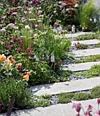 MIXED SUMMER PLANTING