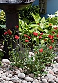 WATER FEATURE WITH GEUM