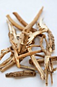 CHAI HU- THOROWAX ROOT (Bupleurum chinense) - CHINESE HERBAL MEDICINE