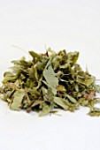 YIN YANG HUO, EPIMEDIUM GRANDIFLORUM, (GOATWORT) CHINESE HERBAL MEDICINE.