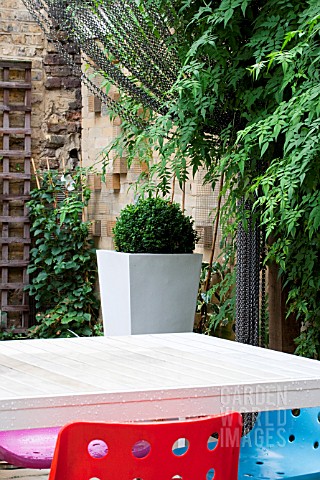 THE_DRAWING_ROOM_GARDEN__URBAN_LONDON_GARDEN__DESIGNED_BY_EARTH_DESIGNS__BUXUS_IN_TALL_CONTAINER_WIT