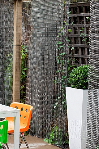 THE_DRAWING_ROOM_GARDEN__URBAN_LONDON_GARDEN__CHAIN_SCREENS_WITH_BUXUS_IN_TALL_CONTAINER__DESIGNED_B