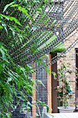 THE DRAWING ROOM GARDEN  URBAN LONDON GARDEN  DRAPED CHAIN SCREEN WITH JASMINUM  DESIGNED BY: EARTH DESIGNS.