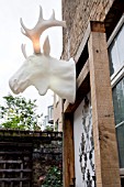 THE DRAWING ROOM GARDEN  URBAN LONDON GARDEN  THE ILLUMINATED MOOSE HEAD TROPHY  DESIGNED BY: EARTH DESIGNS.